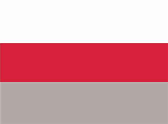 Swatch for White/ Red/ Grey