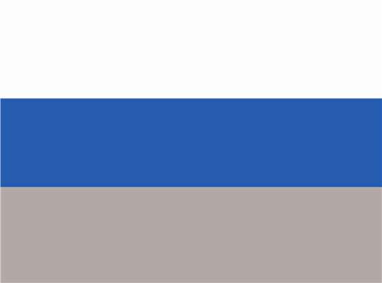 Swatch for White/ Royal/ Grey