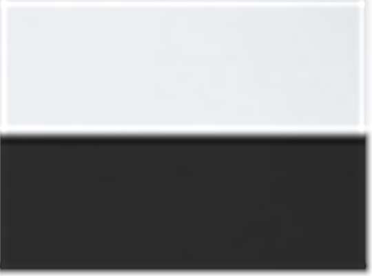 Swatch for White Solid/ Black