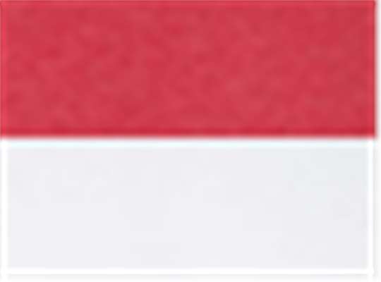 Swatch for Vintage Red/ White
