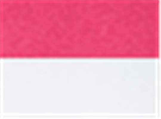 Swatch for Vintage Hot Pink/ White