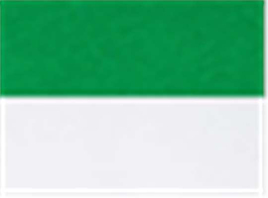 Swatch for Vintage Green/ White