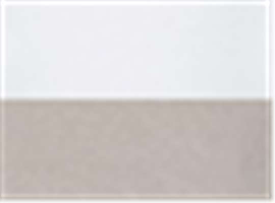Swatch for White/ Titanium
