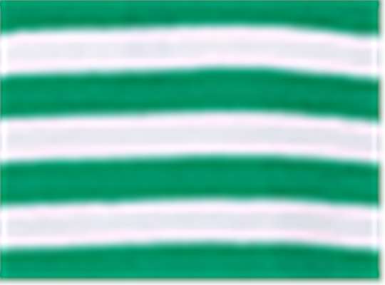 Swatch for Kelly/ White Stripe