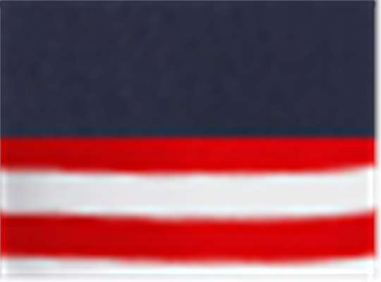 Swatch for Navy/ Red-White Stripe