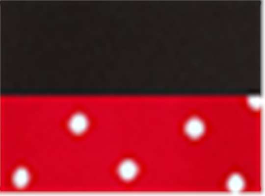 Swatch for Black/ Red Dots
