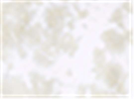 Swatch for White/ Olive Oil