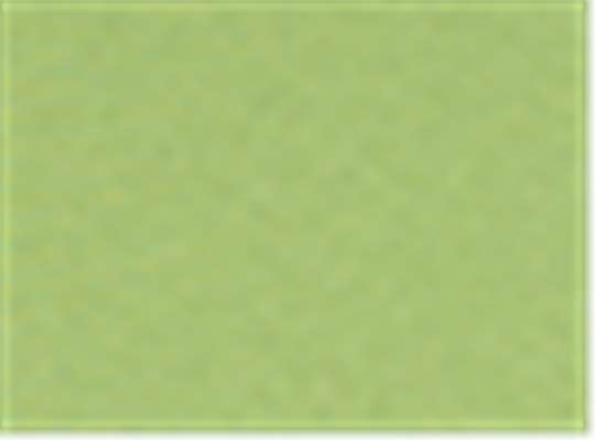Swatch for Kiwi