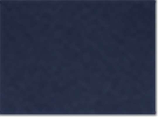 Swatch for Navy