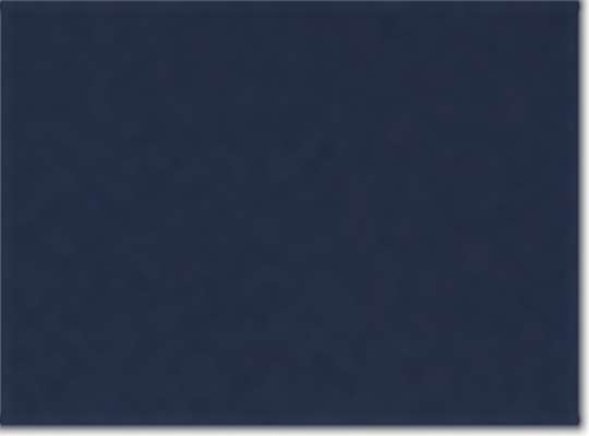 Swatch for Navy