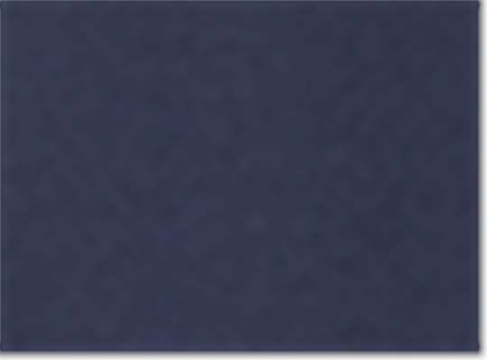 Swatch for Navy