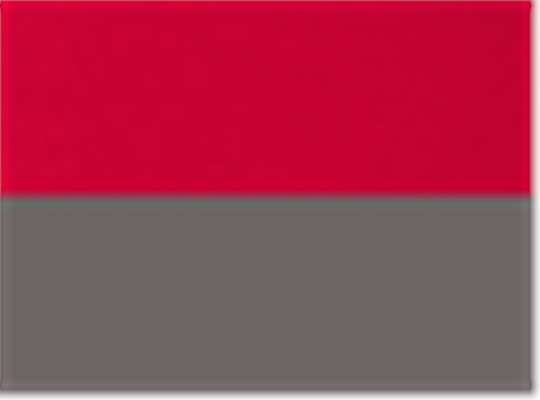 Swatch for True Red/ Dark Grey