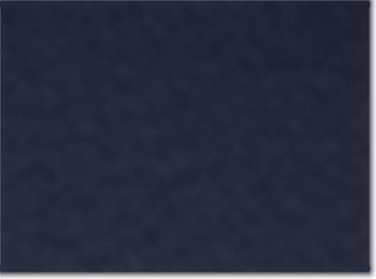Swatch for Navy