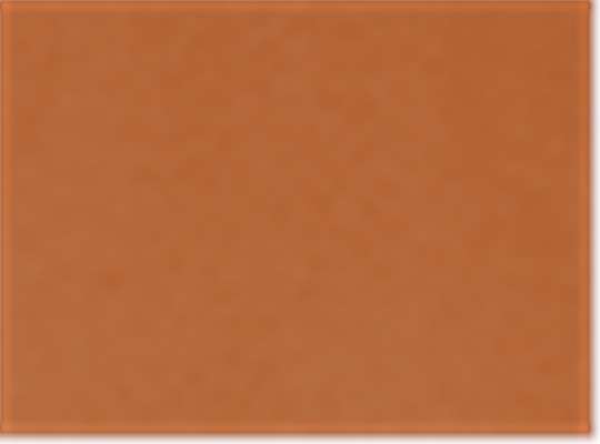 Swatch for Texas Orange