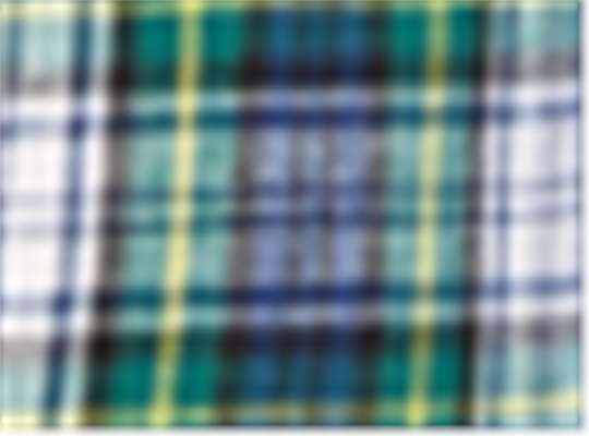 Swatch for Gordon Holiday Plaid