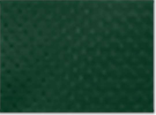 Swatch for Athletic Dark Green