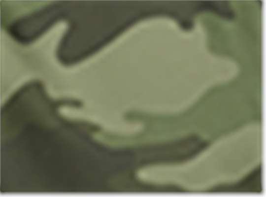 Swatch for Olive Green Camo