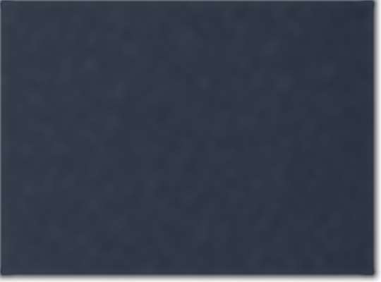 Swatch for Navy