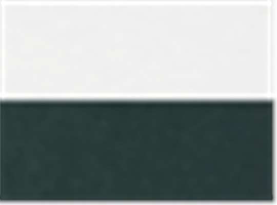Swatch for White/ Black