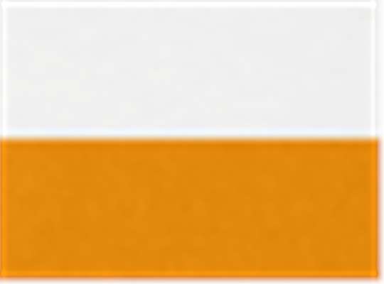 Swatch for White/ Gold