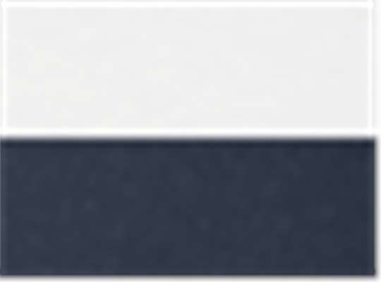Swatch for White/ Navy