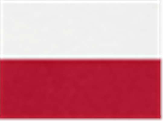 Swatch for White/ Scarlet
