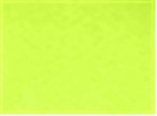 Swatch for Safety Green