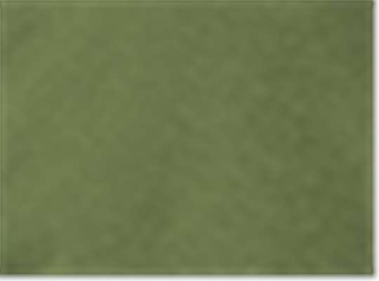 Swatch for Olive