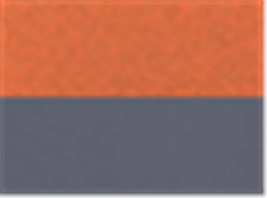 Swatch for Bright Orange/ Dark Grey