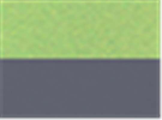 Swatch for Lime Green/ Dark Grey