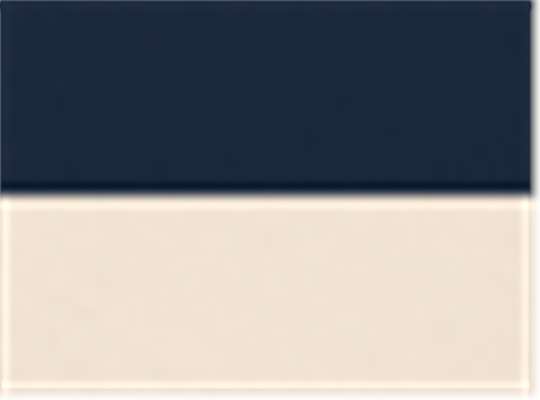 Swatch for Navy/ Cream