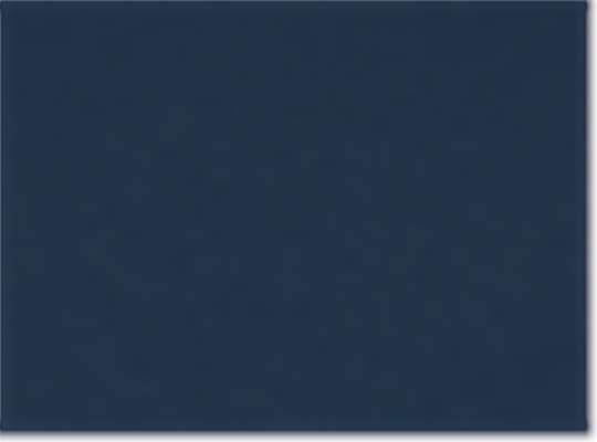 Swatch for Navy