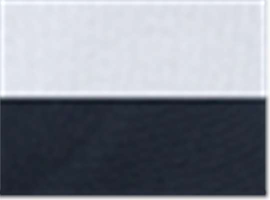 Swatch for White/ Navy