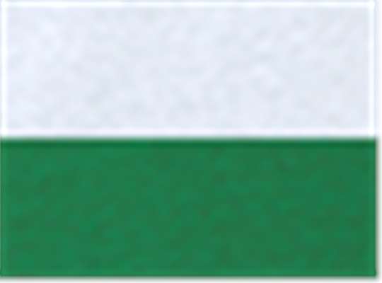 Swatch for White/ Kelly