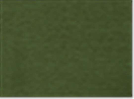 Swatch for Tri Olive