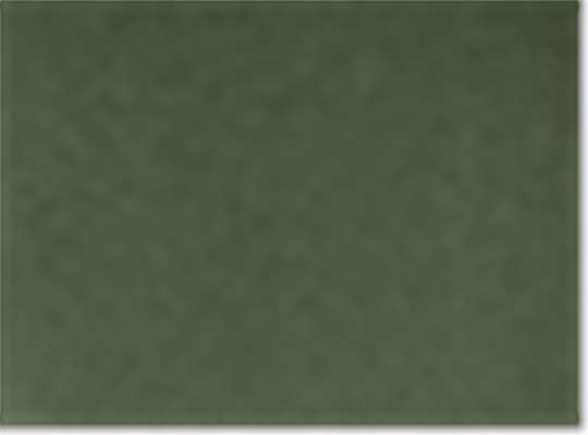 Swatch for Army