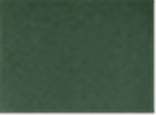Swatch for Forest Green