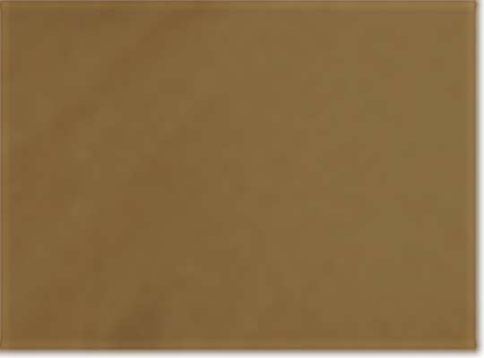 Swatch for Coyote Brown