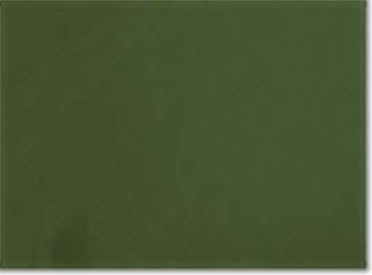 Swatch for Military Green