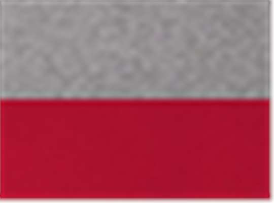Swatch for Oxford/ True Red