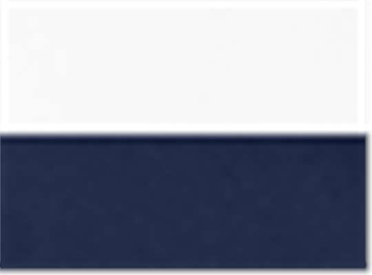Swatch for White/ J. Navy