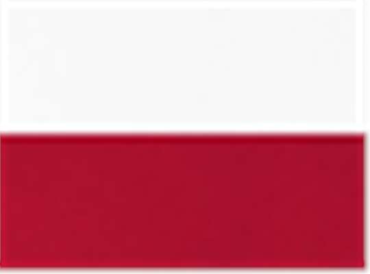 Swatch for White/ True Red
