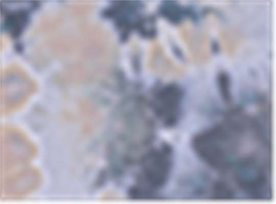 Swatch for Denali