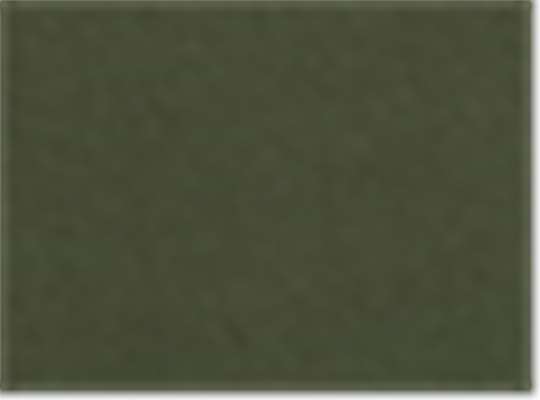 Swatch for Military Green