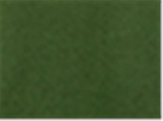 Swatch for Forest Green