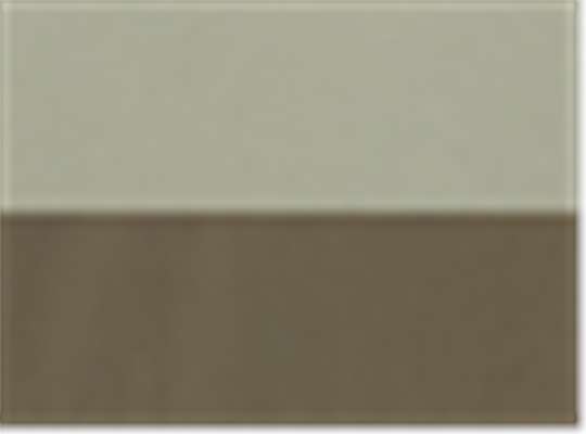Swatch for Safari/ Stone Green