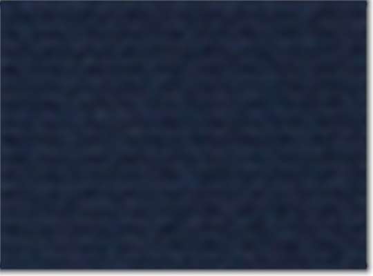 Swatch for Collegiate Navy