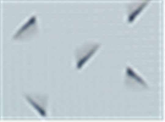 Swatch for Wonder Blue/ Collegiate Navy