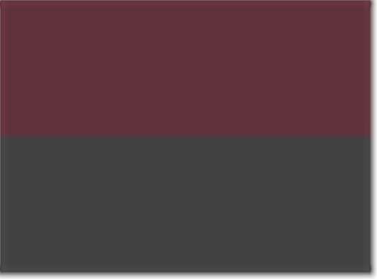 Swatch for Maroon/ Black
