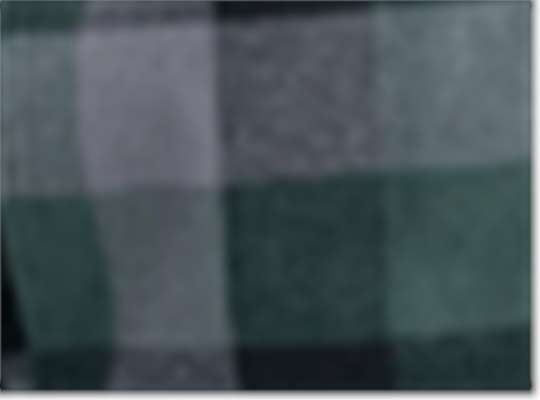 Swatch for Plaid Green